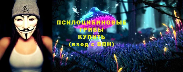 apvp Арсеньев